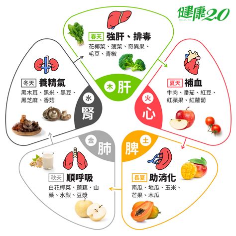 食物五行